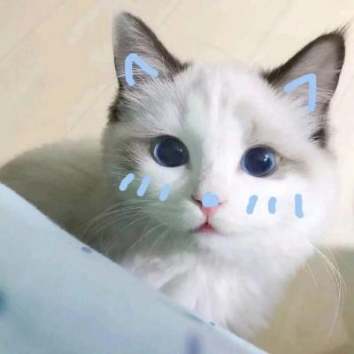 微信搞笑头像图