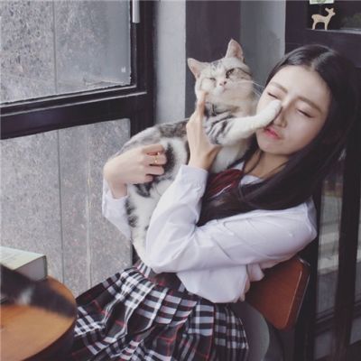 高清头像动物图片2023最新款女