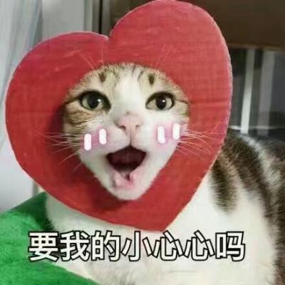 猫和老鼠头像高清可爱
