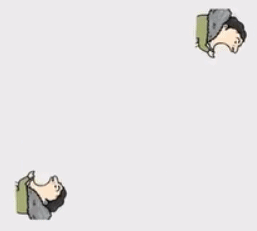 抖音狗头像图片 搞笑