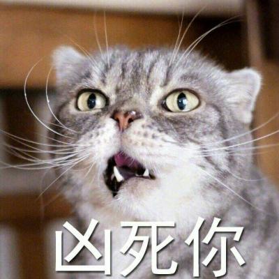 汤姆猫头像霸气