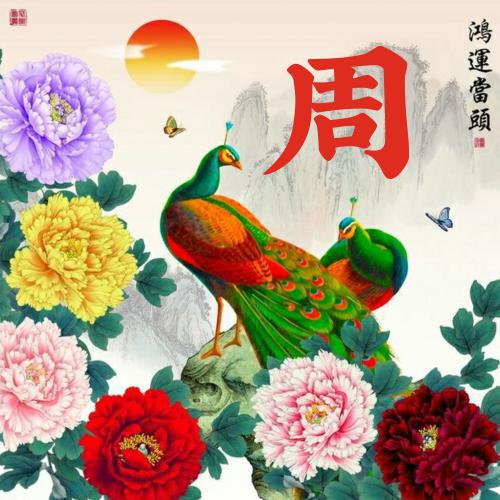 2023年女士好运头像