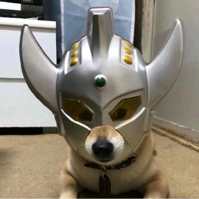 微信动物头像