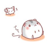 诗意4字网名