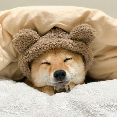 搞笑的头像高清