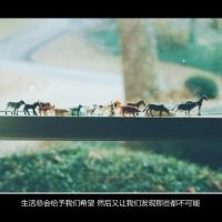 2025年潮流网名大全：带'凌'字的个性昵称精选