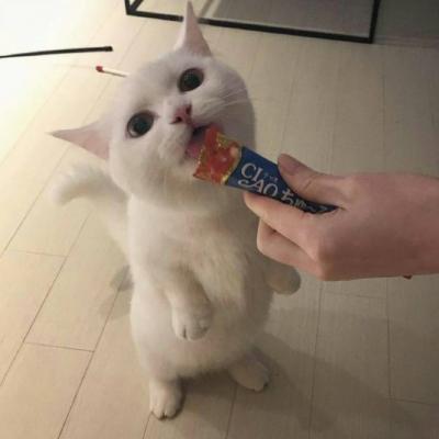 可爱头像在哪里找到