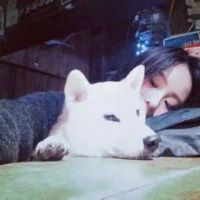 文艺字体推荐女生网名