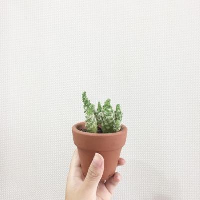 微信头像图片大全风景高清图片大全