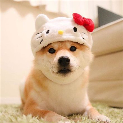搞笑微信头像