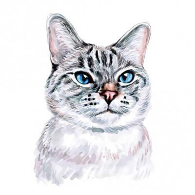 ins微信头像猫