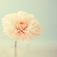 快手电影网名大全