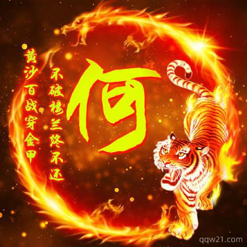 小老虎微信头像