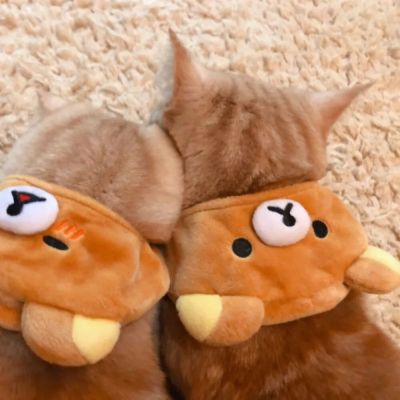 头像图片大全情侣头像猫和老鼠