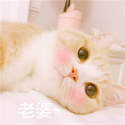 头像图片大全2022搞笑靓仔
