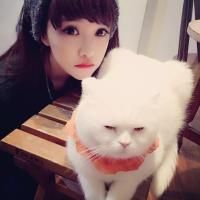 有关星星的网名贴吧
