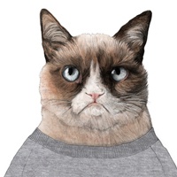 可爱猫咪头像 卡通
