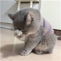 充满诗意的网名