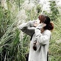 燕儿繁体字网名