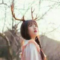 2025年最新菊花主题网名大全｜诗意与潮流兼具的昵称灵感