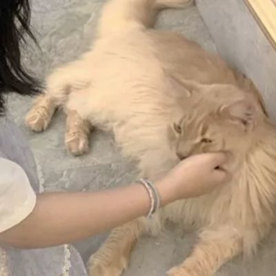 个性网情侣头像 双人