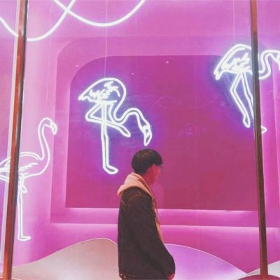 头像图片大全背影高清