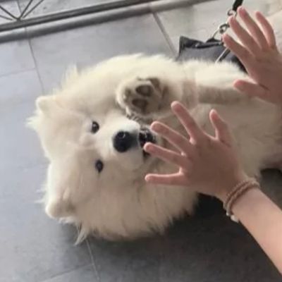 我要个性网头像情侣