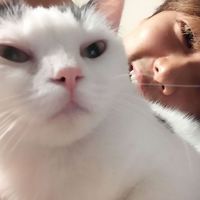 形容孤独心死的网名