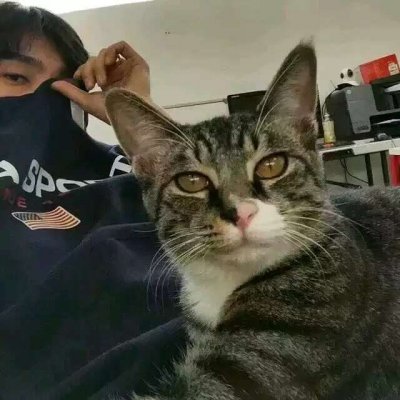 诗意三个字网名