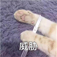 五黑头像大全搞笑