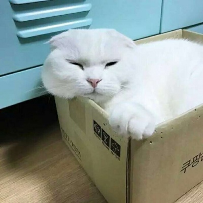 很搞笑的微信头像