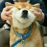 搞笑头像图片逗比
