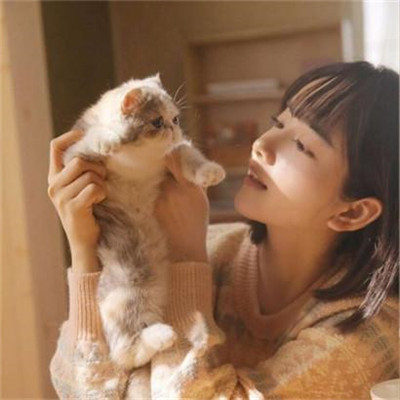 汤姆猫头像丧