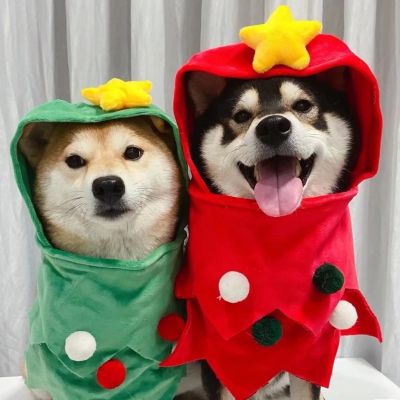 有关余生的网名