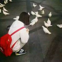 诗意六子以内情侣网名
