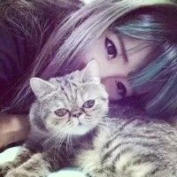 汤姆猫头像图片大全