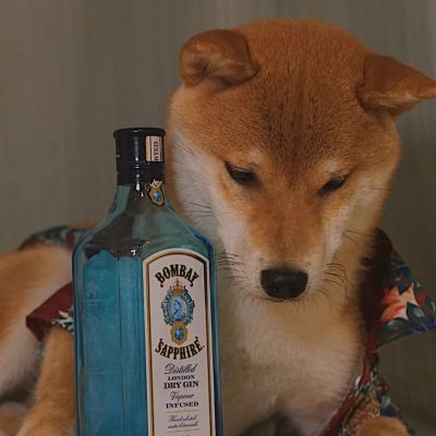 笑死人的头像图片 搞怪