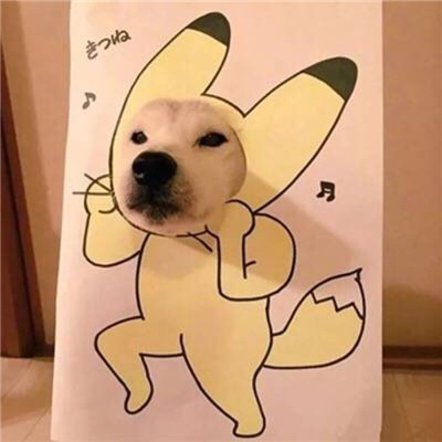 头像图片 动物