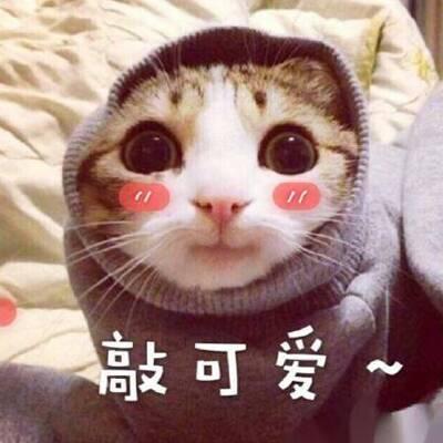 带符号网名两个字的