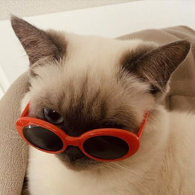 瑞金头像情侣可爱
