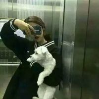 王者荣耀带梦写网名