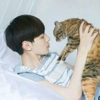 男头像帅气阳光遮脸
