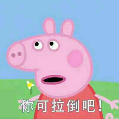 猪猪头像高清