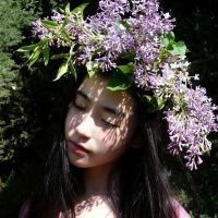 清新点的网名